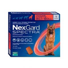 NEXGARD SPECTRA 30-60 KG 1 COMP