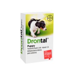 DRONTAL CACHORRO 20 ML